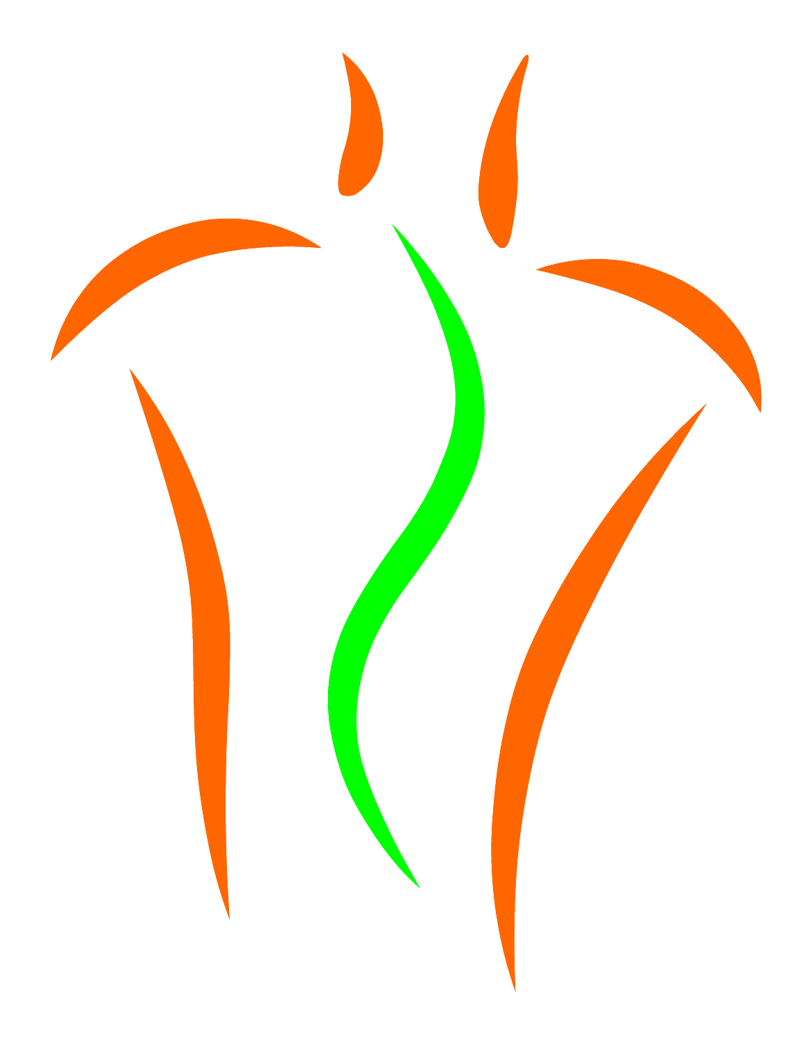 MSS Logo